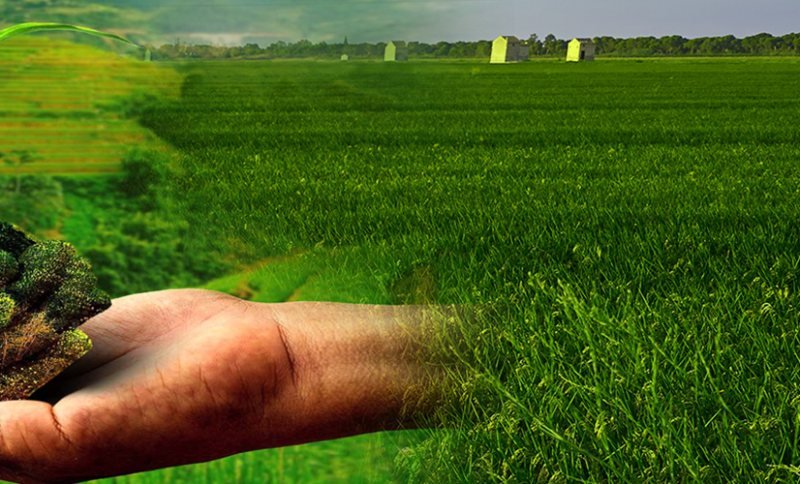Agriculture industry