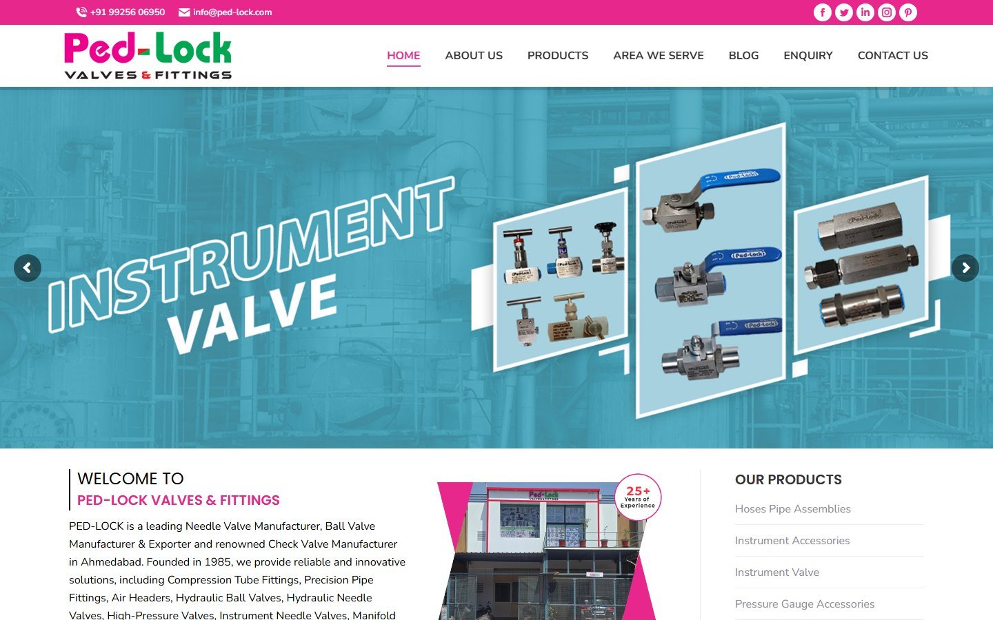 Ped-Lock Valves & Fittings website homepage designed by Expert Web Designing (desktop view)